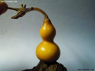 ��ţ�Ƶ������«ͼƬ �̳�Ư�������«��5������