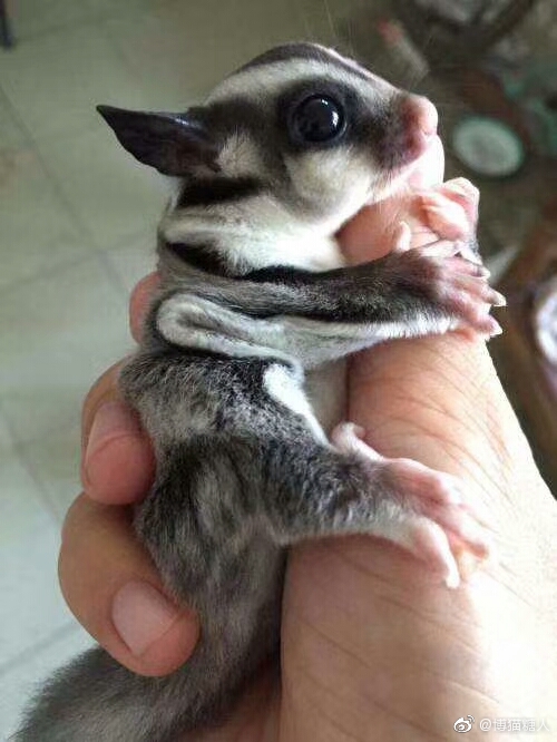 Ϊʲô˵�۴����ǲ����� �۴�����������