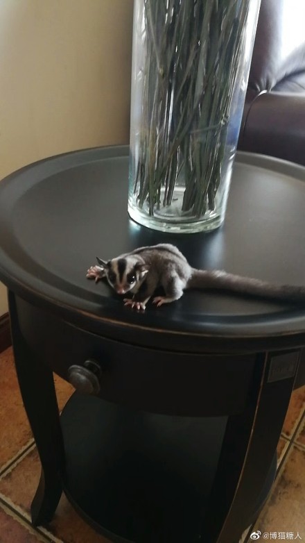 Ϊʲô˵�۴����ǲ����� �۴�����������