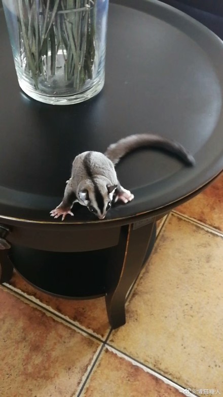 Ϊʲô˵�۴����ǲ����� �۴�����������