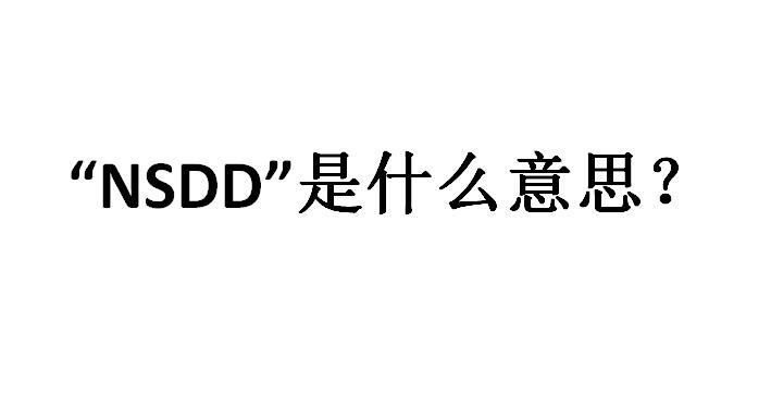 nsddʲô��˼ ͨ����˵�ǡ���˵�Ķԡ���ƴ����д