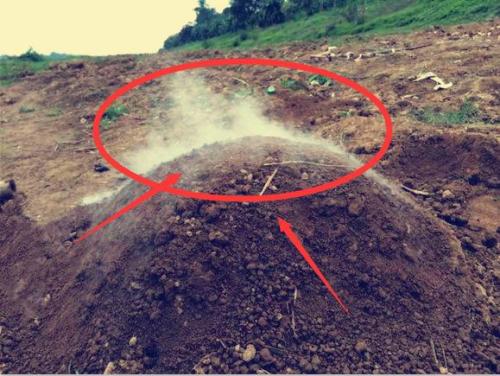 ������ָʲô��ɫ���� ��˵���ϵ���������ô�γɵ�