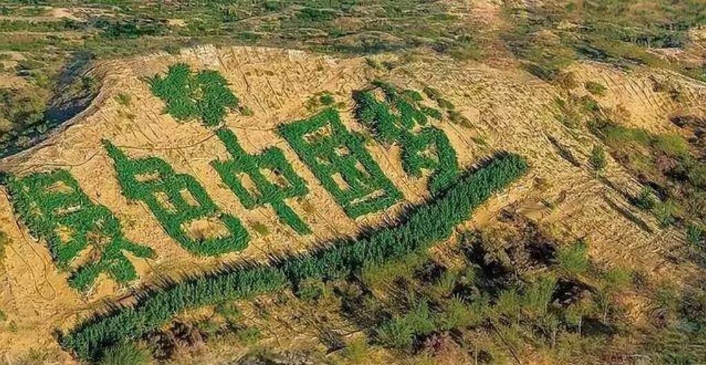 ë����ɳĮ�����Ѷ�С��ԭ����ʲô ë����ɳĮ��ǰʲô����