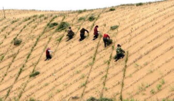 ë����ɳĮ�����Ѷ�С��ԭ����ʲô ë����ɳĮ��ǰʲô����