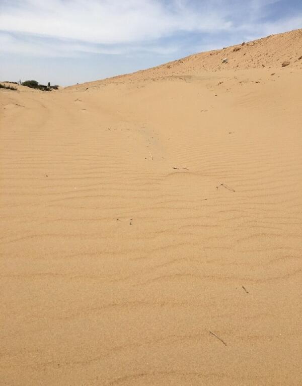 ë����ɳĮ�����Ѷ�С��ԭ����ʲô ë����ɳĮ��ǰʲô����