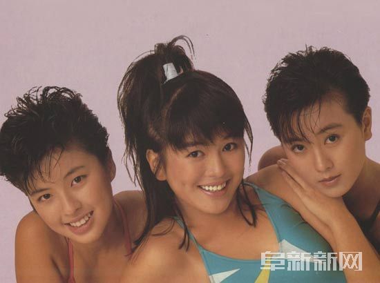 ����ޱ��ô����ѧ�Ѷ����� ����ޱ����������Ƭ�ع�