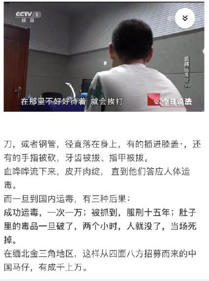 ��������鱱����ʲô�� ����ʲôС˵