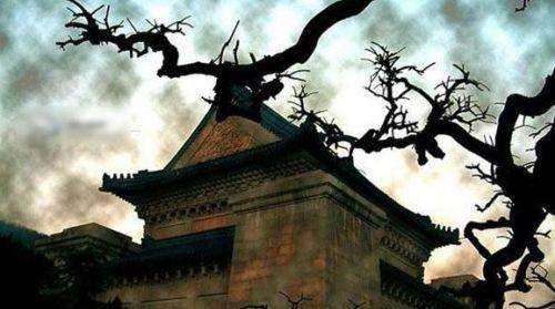 �����޵�������ļٵ� �޵��������е���