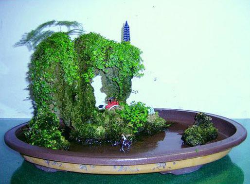 ��ˮʯ��ô��ֲ�� ��ֲ��Щ����ĲݱȽϺÿ���