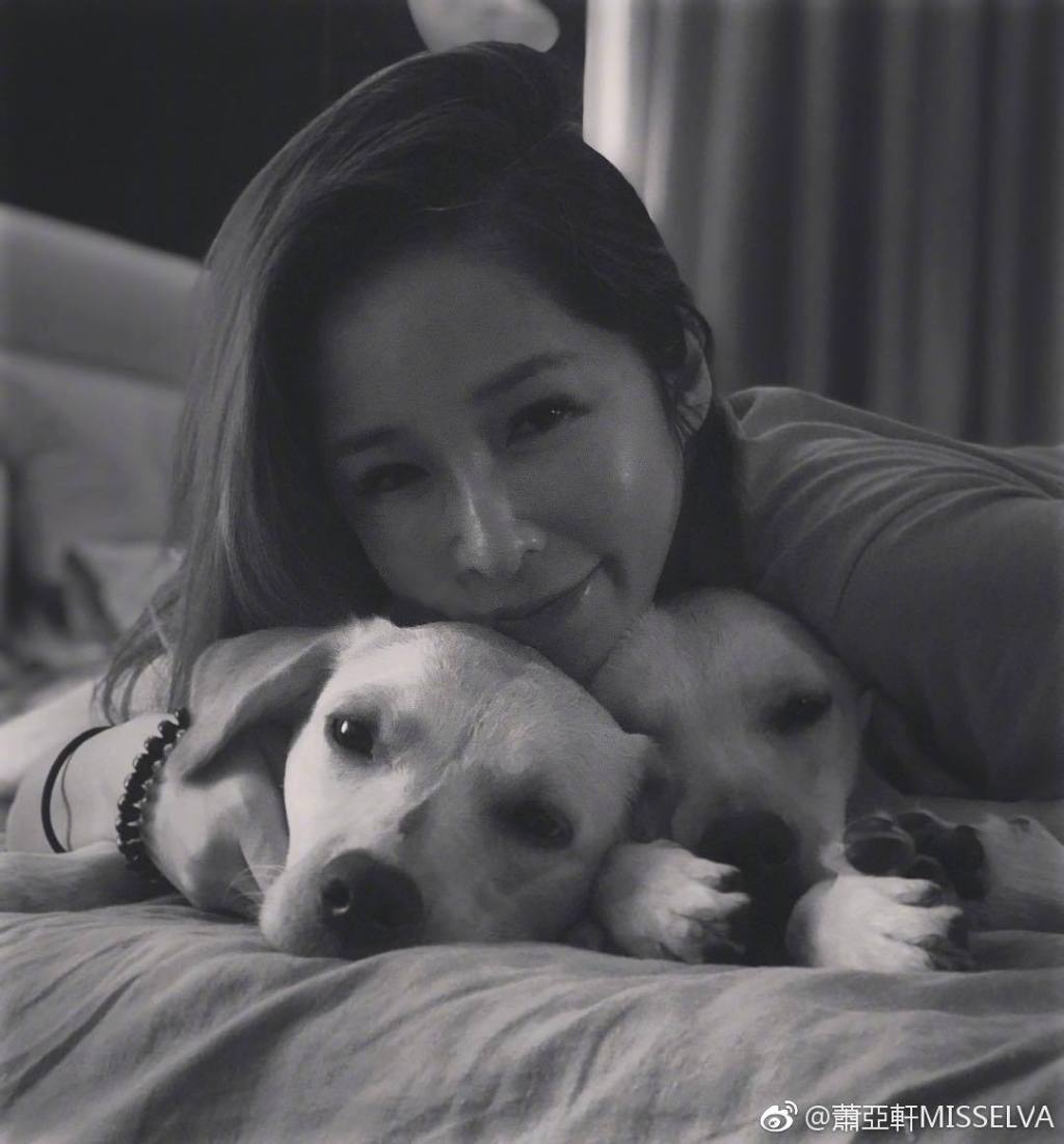 �����������̲��Ǽ���Ϣ ������ѹ�������������