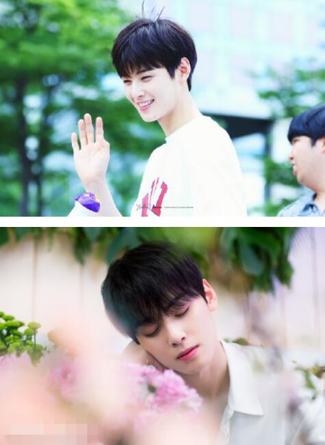 ������Ϊʲô�г����� ���������ֲ���Ա��