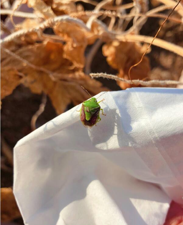 �����г�����ԭ����ʲô ��ֹ�����С��������