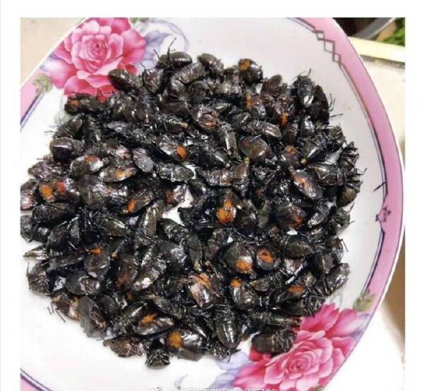 屋里有臭大姐的原因是什么 防止臭大姐小妙招来了