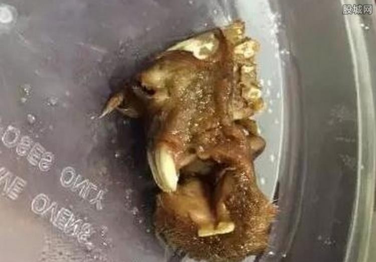 ���˼��Գ���������������ͷ ������������Ƕ�������