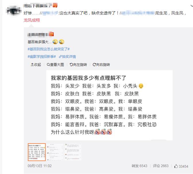 ���������ʲô��˼ ʲô��