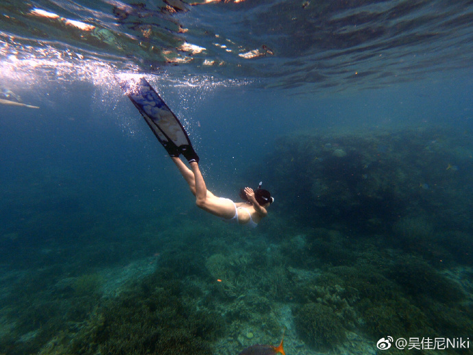 ������һ����ǱӾ��Զ Ӿ��Ϊʲô������ǱӾ��