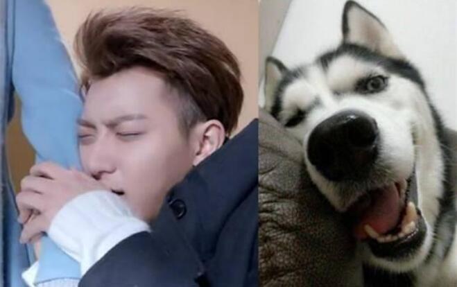 ��ʿ��ʽ������ʲô��˼ ����ʿ��ʽ����̸��������