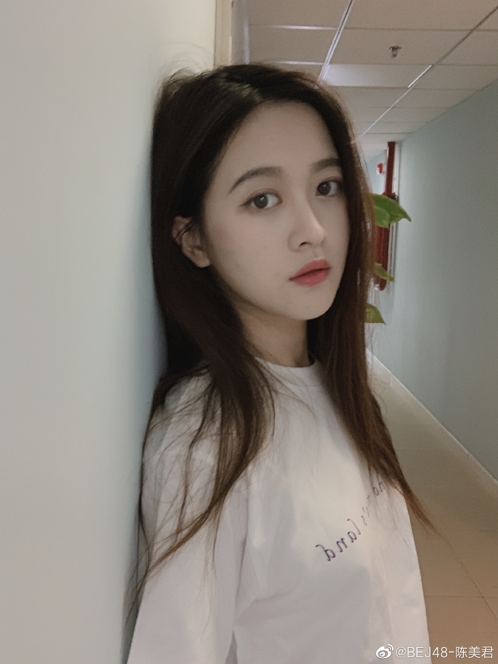 ������Ϊʲô�뿪1931 �����廪��ѧ����