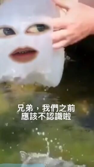 ˮĸ����ʲô�� ˮĸ����ԭ����Ƶ