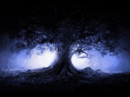 ������Ϊʲô������ �������ô����˵��