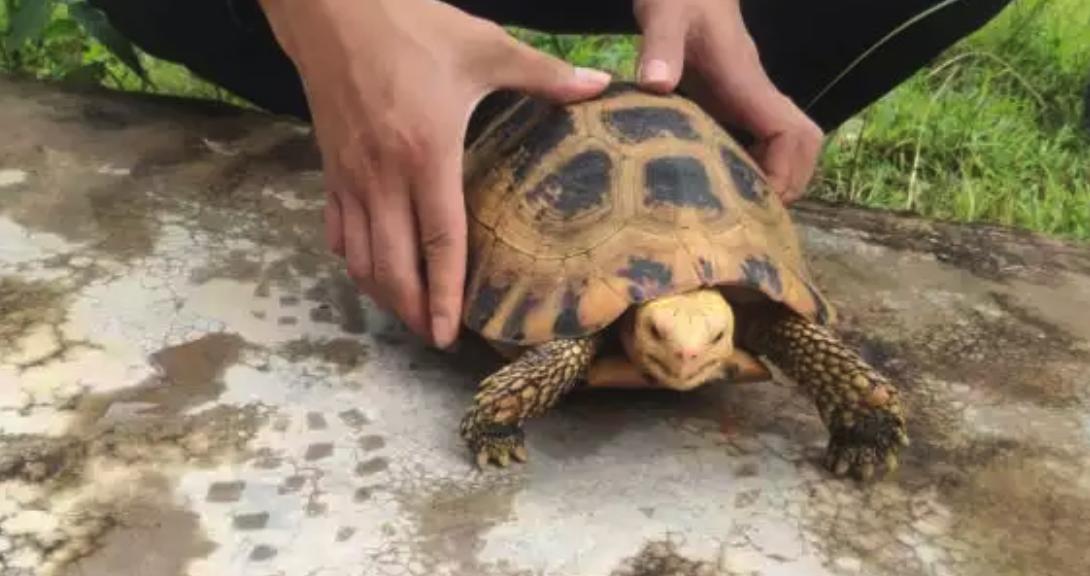 ��䴫˵Ϊʲô��·��񲻵� 1965��ޱ��¼��������