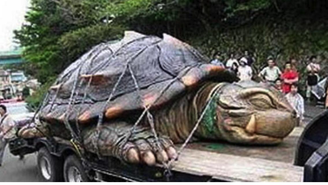 ��䴫˵Ϊʲô��·��񲻵� 1965��ޱ��¼��������