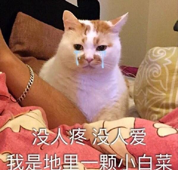 �����������ǲƻ����� ��Ƥ���Ŀ�ѧ������ʲô