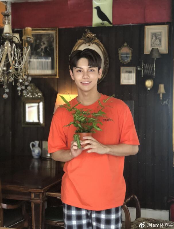 �����������ܳ������� ���������������ļٵ�