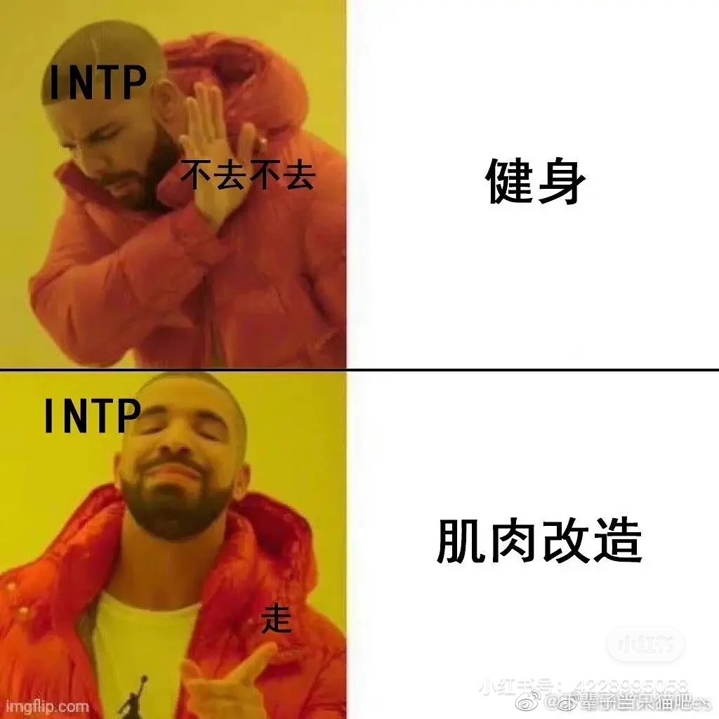 INTP���˸��ʲô�˸�����  INTP���˸����Ҫ������