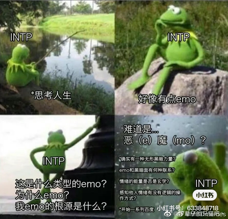 INTP���˸��ʲô�˸�����  INTP���˸����Ҫ������