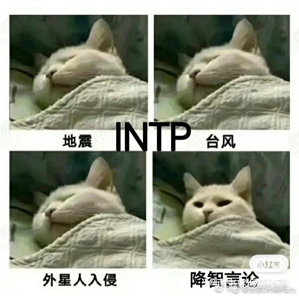 INTP���˸��ʲô�˸�����  INTP���˸����Ҫ������