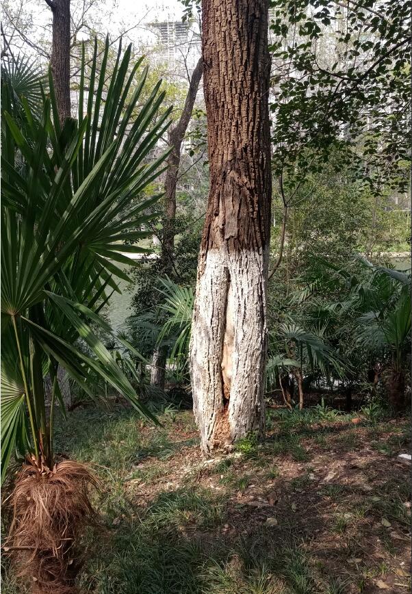 Ů��˵������ʲô��˼ ���������ǲ��Ǳ�̥