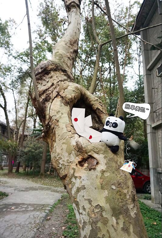 Ů��˵������ʲô��˼ ���������ǲ��Ǳ�̥