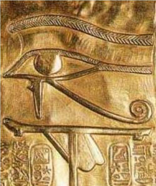 ��³˹֮����ʲô���� ��³˹֮�ۺ��ϵ�֮�۵�����