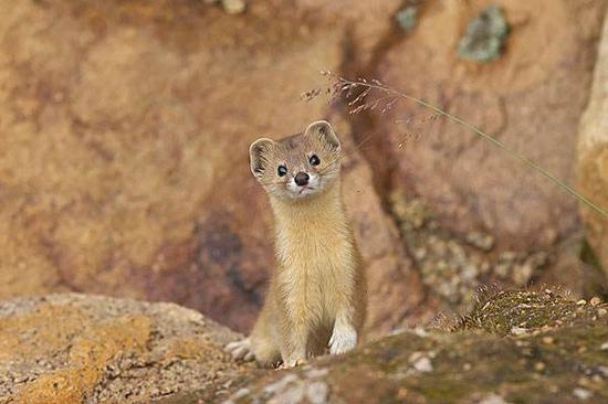 ��������ʲô��ô���� ������Ϊʲô����ɱ��