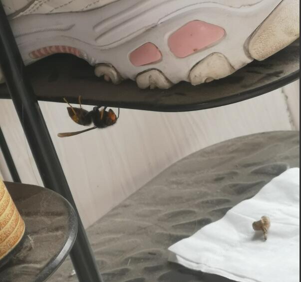 �������˺��˿�ͼƬ �������˴�û�λ�����