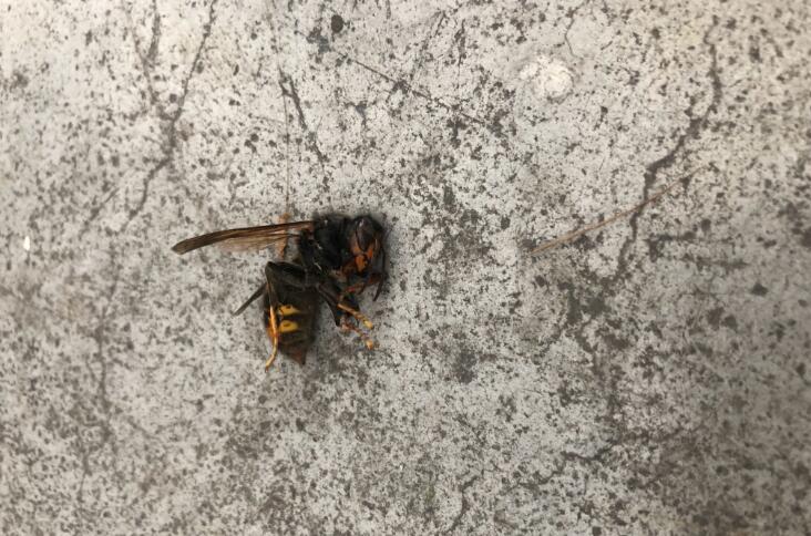 �������˺��˿�ͼƬ �������˴�û�λ�����