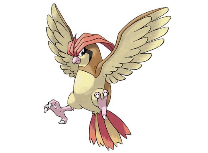 �ܰغ�Ϊʲô�б�̥�����ȱ��� ����ϴ�׻���ʲô��ϵ