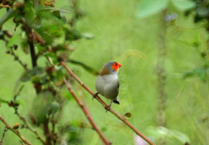 ��Щ���ʶ�ƶž���Ĺ�� �ž��������Ϊʲô���Ƶ���ô��