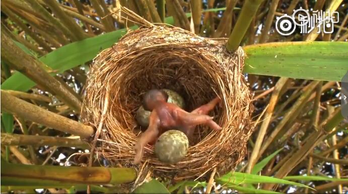 ��Щ���ʶ�ƶž���Ĺ�� �ž��������Ϊʲô���Ƶ���ô��