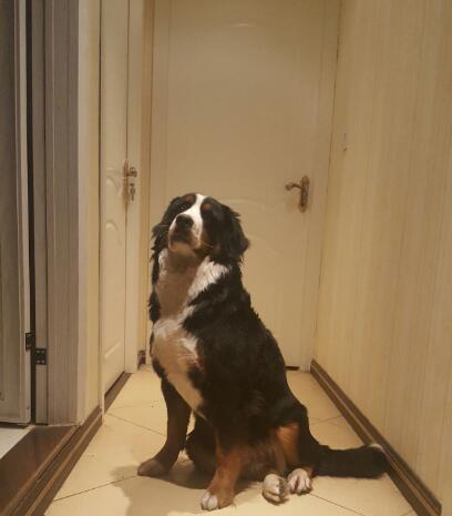 ������ҹ�и���ͣ��ô�� ���ڰ�ҹ����ʲôԤ��