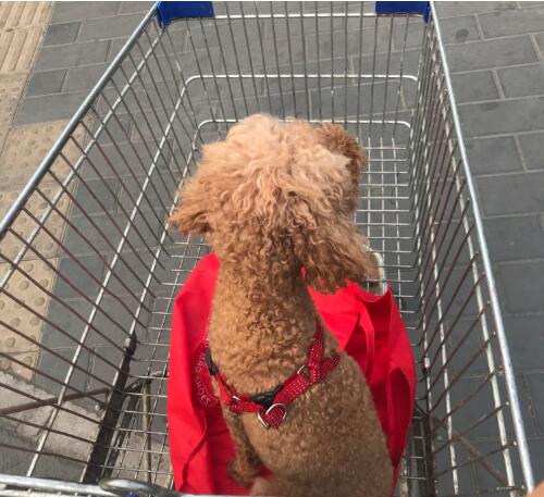 ������ҹ�и���ͣ��ô�� ���ڰ�ҹ����ʲôԤ��