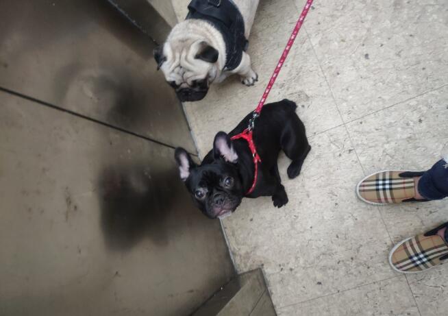 ������ҹ�и���ͣ��ô�� ���ڰ�ҹ����ʲôԤ��