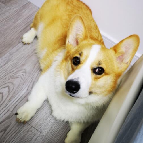 ������ҹ�и���ͣ��ô�� ���ڰ�ҹ����ʲôԤ��