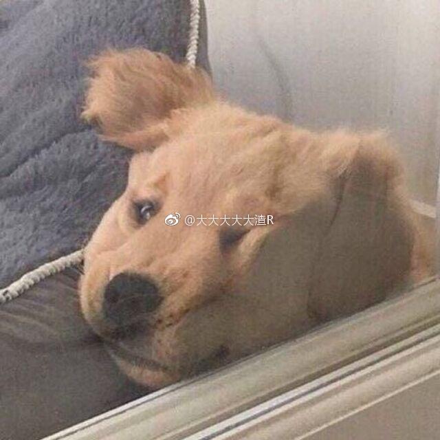 ����㰵��ʲô��˼ ˵����������ζ����������