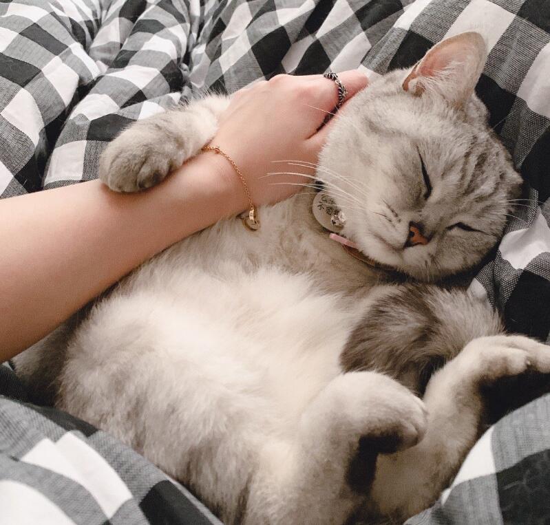 ��èҲ������� ��è���Ŀ�ѧ��������