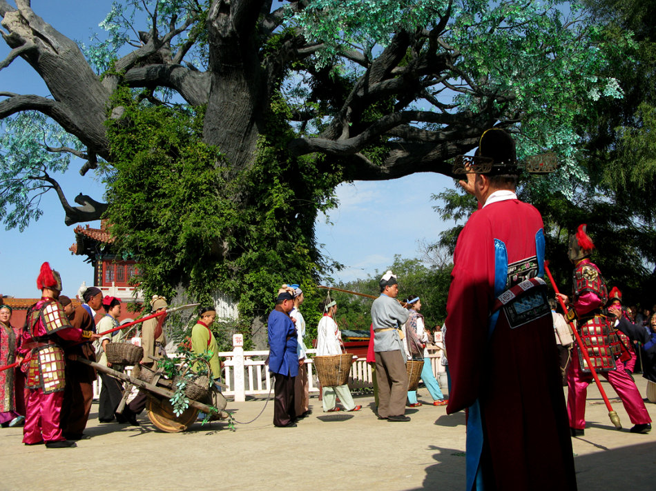 ɽ���鶴�ش����������� ����������ô���Ҽ���
