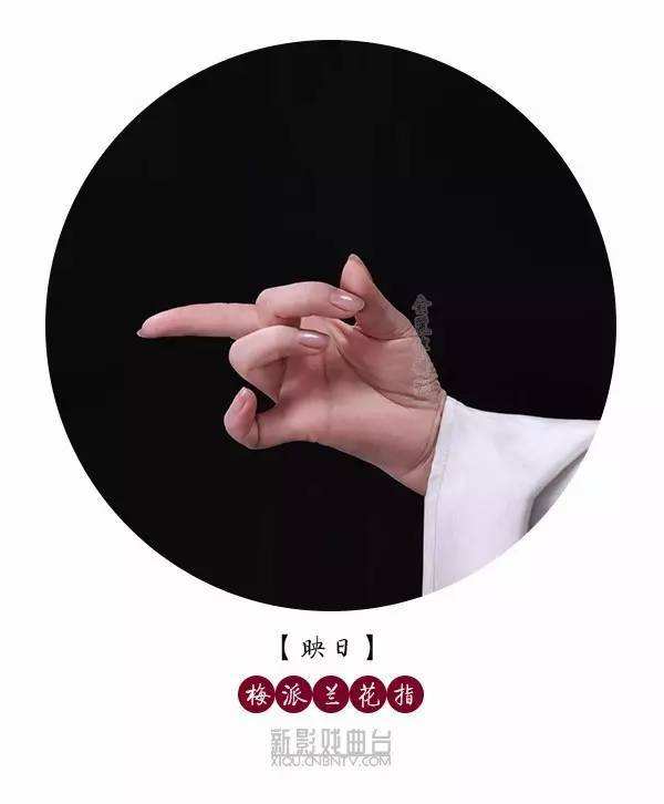 ����ָ����ȷ����ͼƬ ����ָ��ʲô��˼