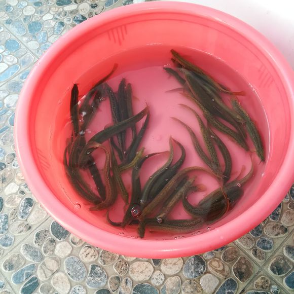 ��ˮ�Ͻ��������ĺô� ����������������