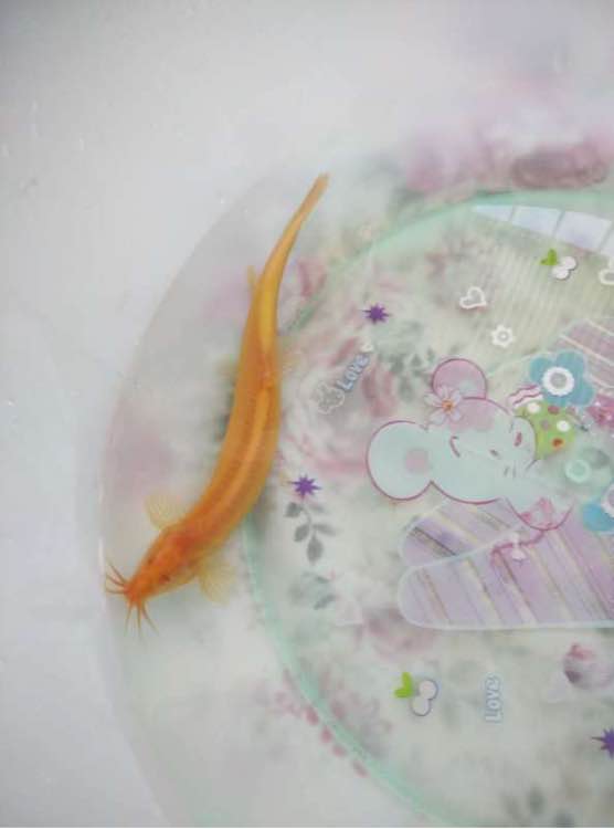 ��ˮ�Ͻ��������ĺô� ����������������